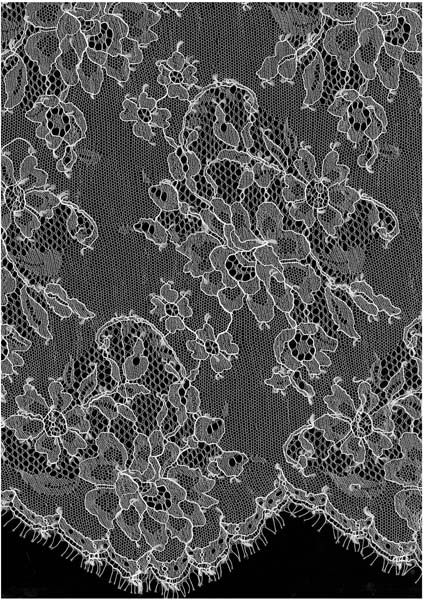 French Lace - Ivory